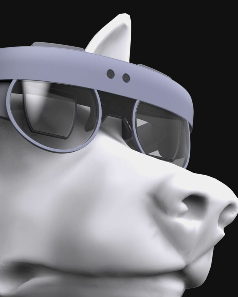 AR-glasses